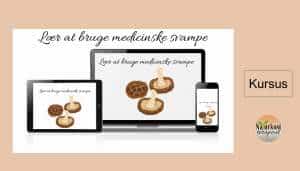 Lær at bruge medicinske svampe kursus