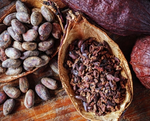 Kakao cacao i forskellige former